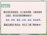 部编二年级上册 第2单元 2 树之歌 PPT课件