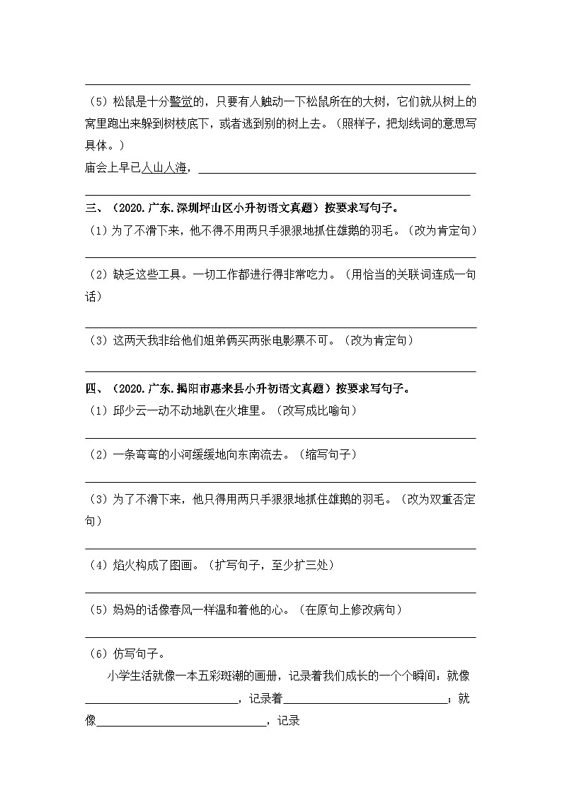 【真题汇编】12 按要求改写句子 全国小升初语文试题精选（含答案）部编版02