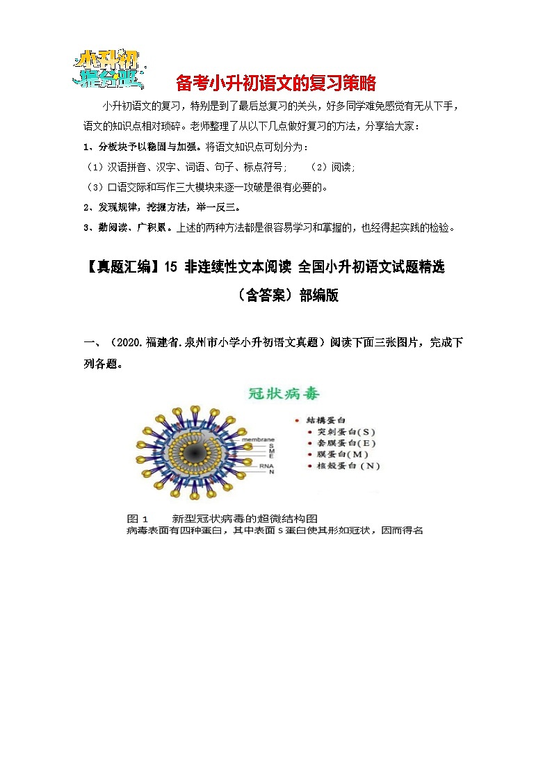 【真题汇编】15 非连续性文本阅读 全国小升初语文试题精选（含答案）部编版01