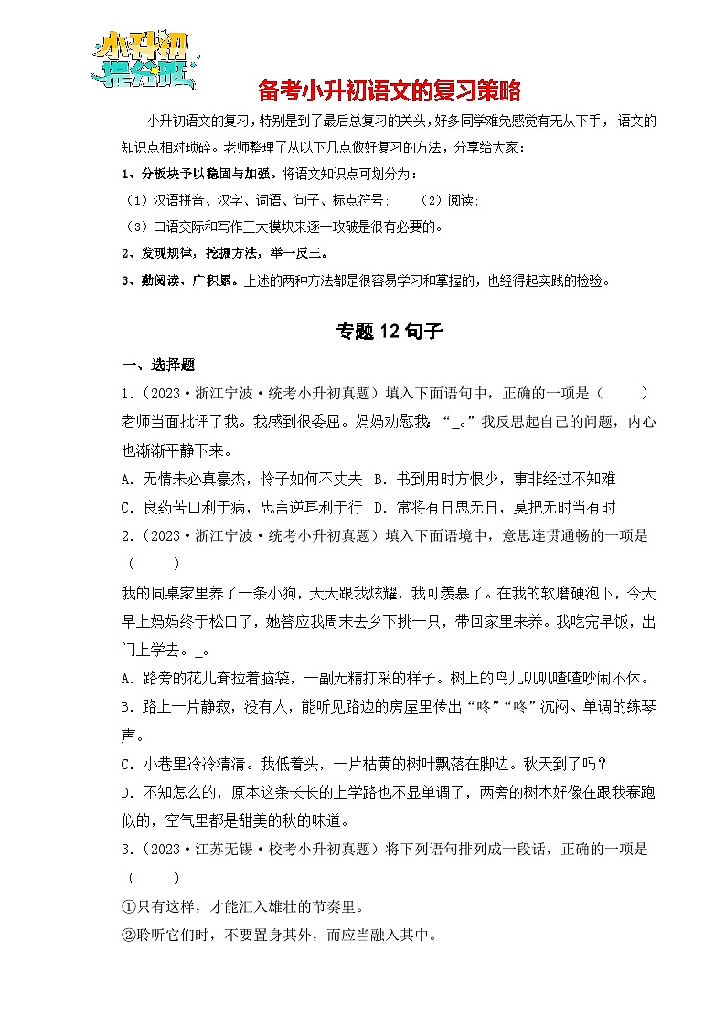 专题12 句子-【真题汇编】2024年小升初语文冲刺真题分类汇编（统编版）01