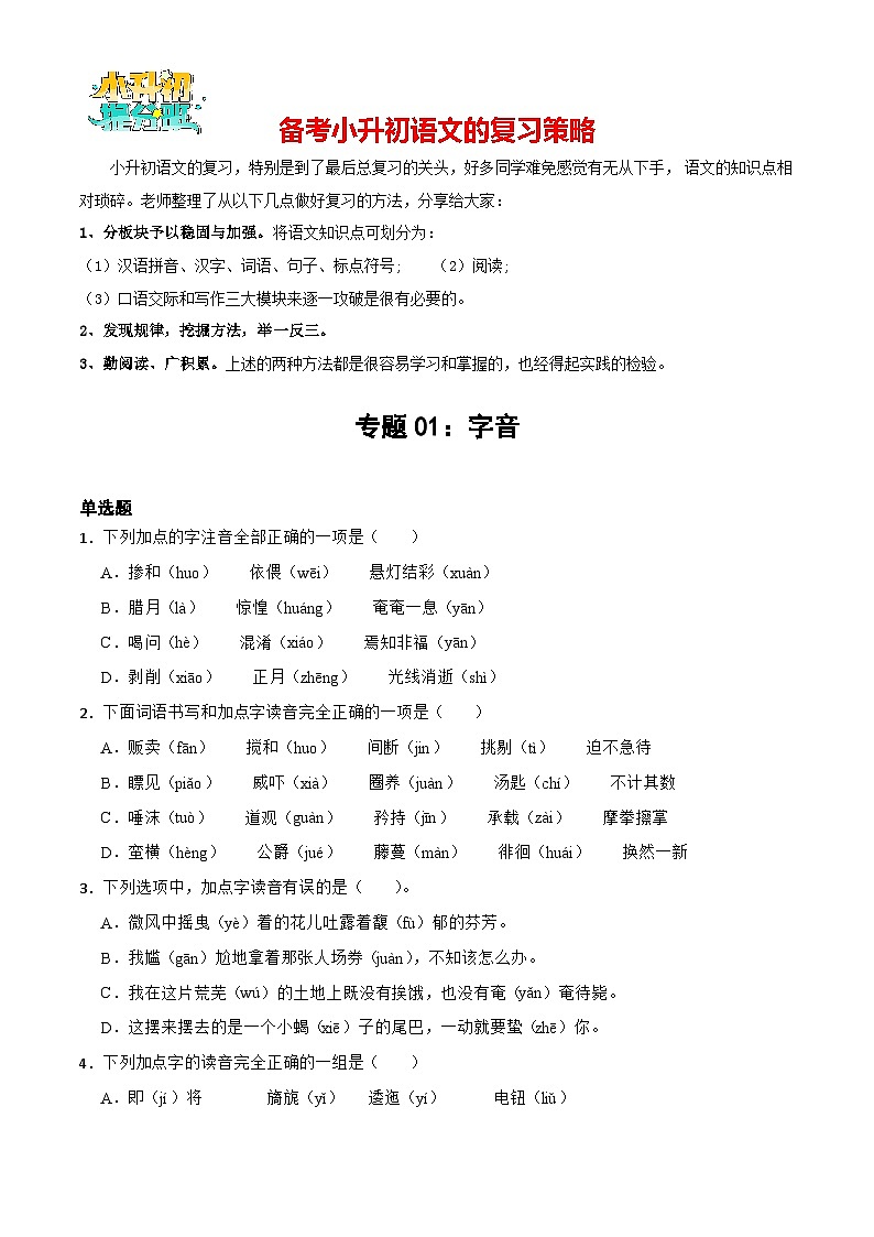 专题01 字音-备战2024年小升初语文专项训练必刷题（原卷+解析卷）01