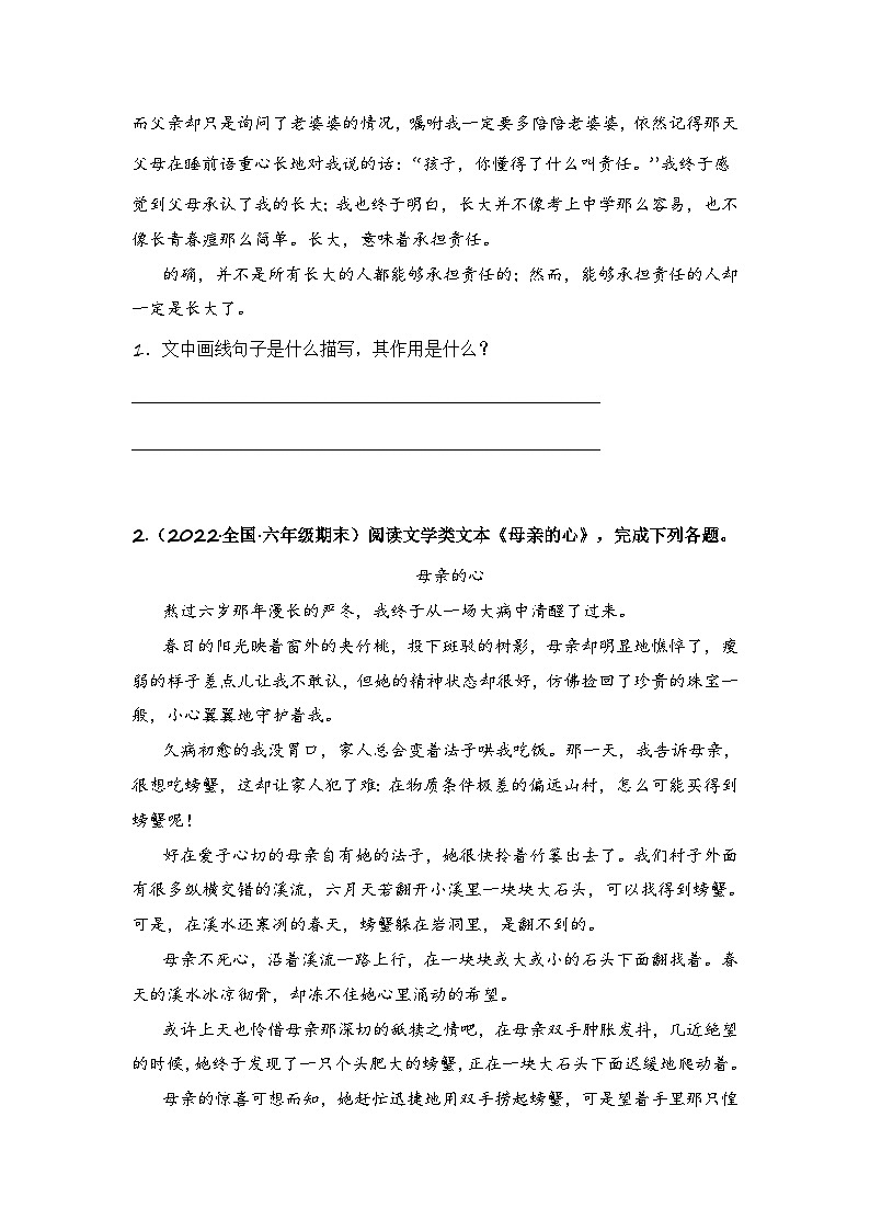 专题17 环境描写的作用-2024小升初语文记叙文阅读专项训练（部编版）03