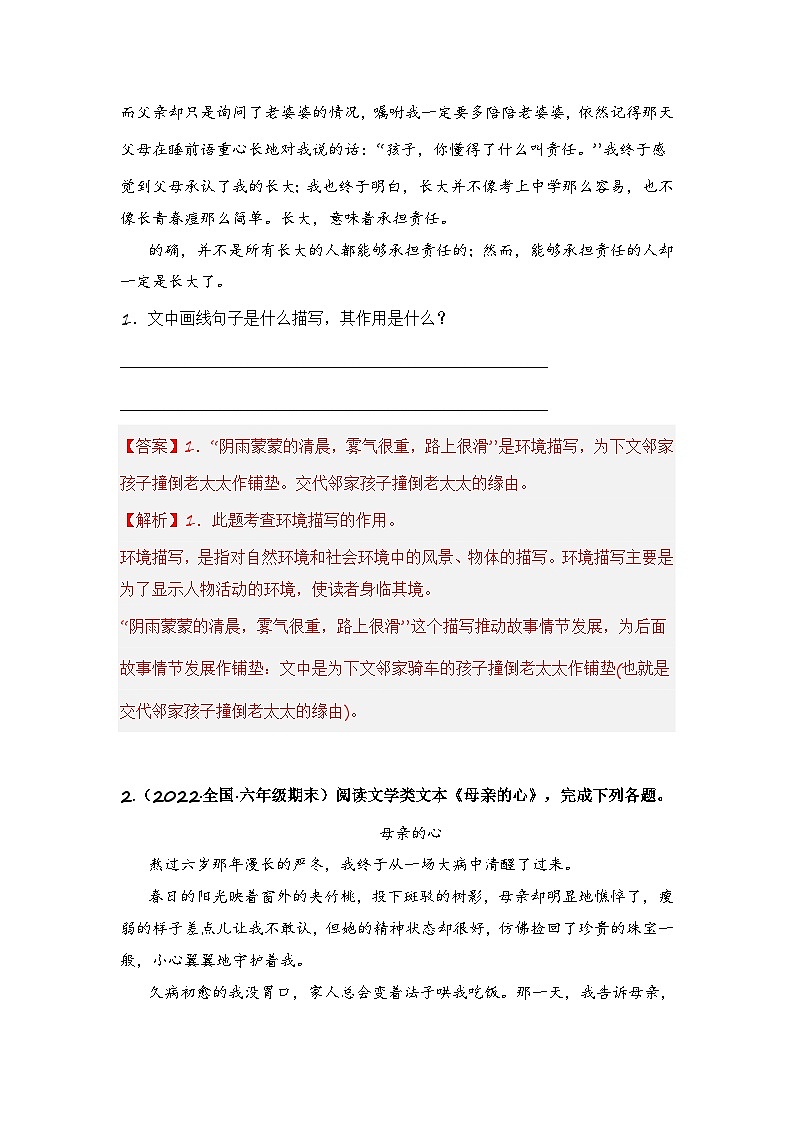专题17 环境描写的作用-2024小升初语文记叙文阅读专项训练（部编版）03