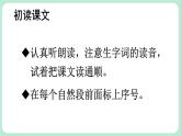 【核心素养】部编版小学语文二上17 《难忘的泼水节》          课件＋教案