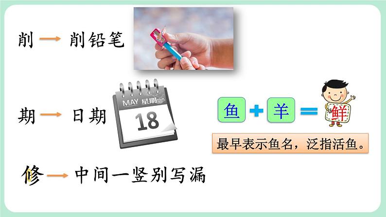 【核心素养】部编版小学语文二年级上册  6 一封信  课件＋教案07