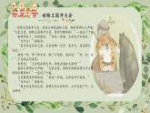 部编版语文一年级下册——动物王国开大会ppt课件