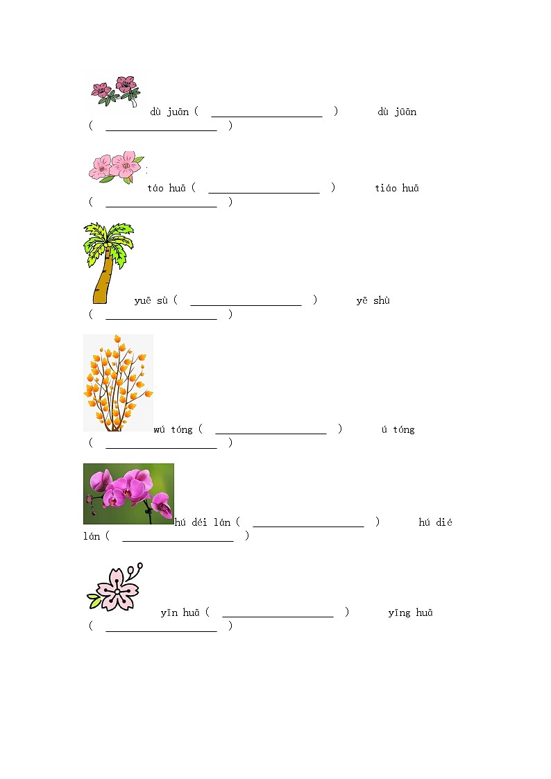 2023-2024学年广东省深圳市宝安区振兴学校部编版一年级上册期中考试语文试卷02