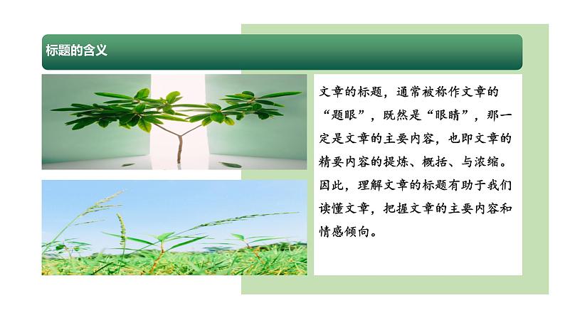 专题10 理解标题的含义（课件）2024年小升初语文复习暑假衔接讲练测（统编版）第6页