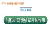 专题05 环境描写及其作用（课件）2024年小升初语文复习暑假衔接讲练测（统编版）