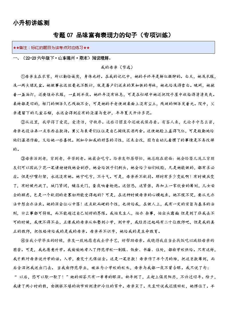 专题07 品味富有表现力的句子（专项训练）2024年小升初语文复习暑假衔接讲练测（原卷版+解释版）01