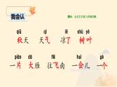 统编版语文一年级上册第一课《秋天》第1课时 教学课件