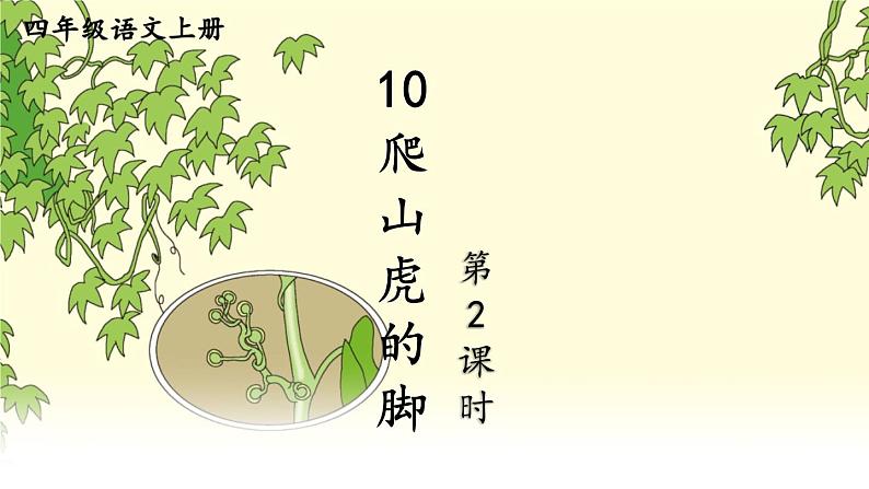 人教部编版小学四年级上册语文第三单元 10 爬山虎的脚 第二课时【课件】01