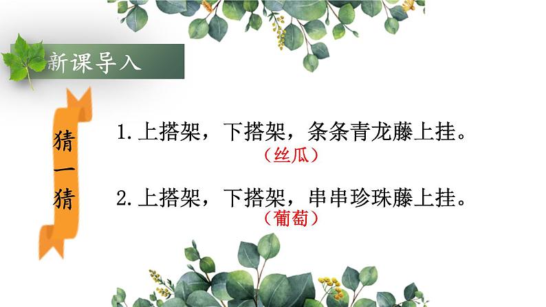 人教部编版小学四年级上册语文第三单元 10 爬山虎的脚 第一课时【课件】01