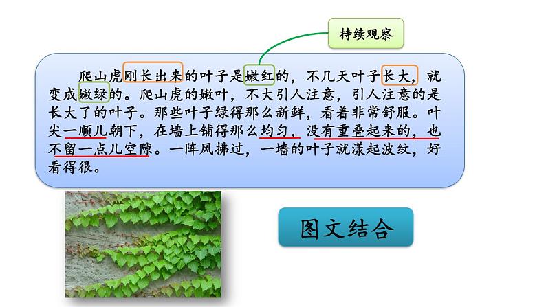 人教部编版小学四年级上册语文第三单元主题阅读【课件】第7页