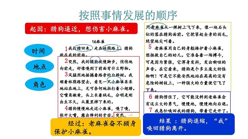 人教部编版小学四年级上册语文第五单元 交流平台 初试身手【课件】第7页