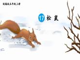 人教部编版小学五年级上册语文第五单元 17 松鼠 第二课时【课件】