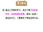 人教部编版小学五年级上册语文第五单元 17 松鼠 第二课时【课件】