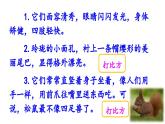 人教部编版小学五年级上册语文第五单元 17 松鼠 第二课时【课件】