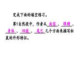 人教部编版小学五年级上册语文第五单元 17 松鼠 第二课时【课件】