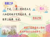 统编版语文三年级上册 2 花的学校（第2课时）课件