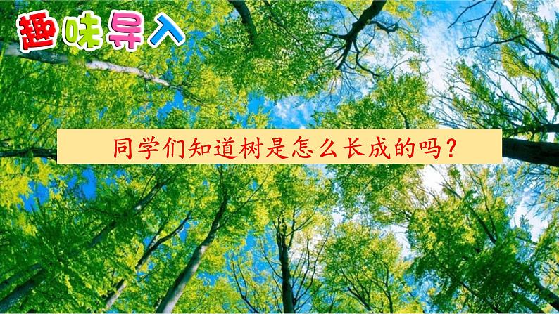 统编版语文三年级上册 9 那一定会很好课件01