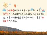 统编版语文三年级上册 20 美丽的小兴安岭（第1课时）课件