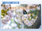 2024二年级语文下册第1单元1古诗二首第一课时课件（部编版）