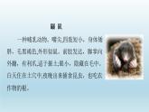 2024二年级语文下册第1单元3开满鲜花的小路课前预习课件（部编版）