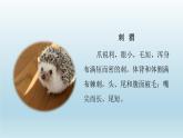 2024二年级语文下册第1单元3开满鲜花的小路课前预习课件（部编版）