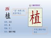 2024二年级语文下册第1单元4邓小平爷爷植树第一课时课件（部编版）