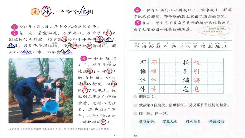 2024二年级语文下册第1单元4邓小平爷爷植树第一课时课件（部编版）第8页