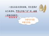 2024二年级语文下册第3单元3“贝”的故事第二课时课件（部编版）