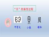 2024二年级语文下册第3单元3“贝”的故事第二课时课件（部编版）