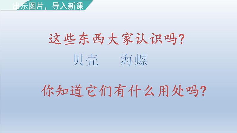 2024二年级语文下册第3单元3“贝”的故事第一课时课件（部编版）第3页