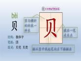 2024二年级语文下册第3单元3“贝”的故事第一课时课件（部编版）