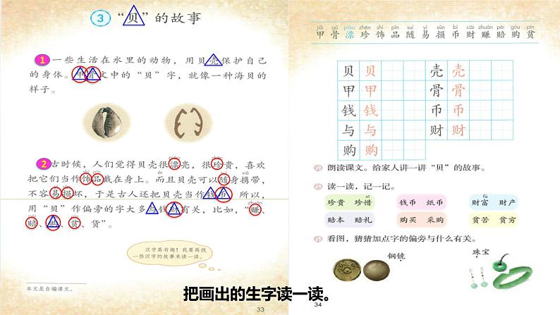 2024二年级语文下册第3单元3“贝”的故事第一课时课件（部编版）第8页