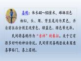 2024二年级语文下册第4单元9枫树上的喜鹊第一课时课件（部编版）
