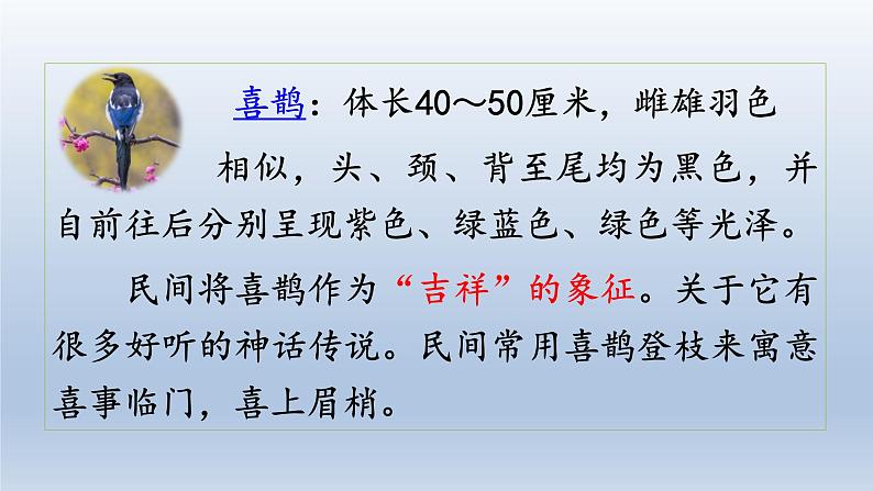 2024二年级语文下册第4单元9枫树上的喜鹊第一课时课件（部编版）03