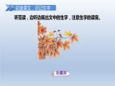 2024二年级语文下册第4单元9枫树上的喜鹊第一课时课件（部编版）