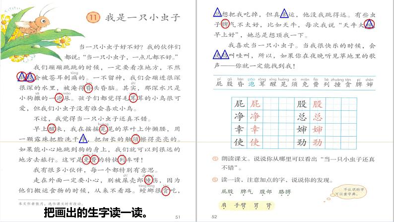 2024二年级语文下册第4单元11我是一只小虫子第一课时课件（部编版）05