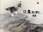 部编语文四年级下册 第四单元 13猫课件