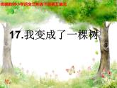 统编版三年级语文下册第五单元 17 我变成了一棵树教学课件