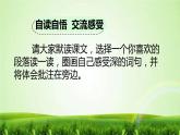 统编版五年级语文下册第七单元 阅读19《牧场之国》课件