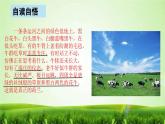 统编版五年级语文下册第七单元 阅读19《牧场之国》课件