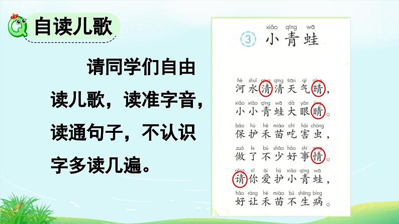 统编版一年级语文下册 识字（一） 3《小青蛙》课件05