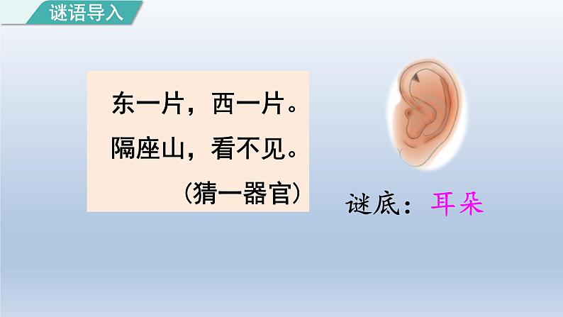 2024二年级语文下册第7单元19大象的耳朵第一课时课件（部编版）第2页