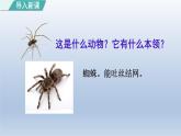 2024二年级语文下册第7单元20蜘蛛开店第一课时课件（部编版）