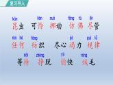 2024二年级语文下册第7单元22小毛虫第二课时课件（部编版）