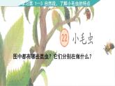 2024二年级语文下册第7单元22小毛虫第二课时课件（部编版）