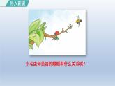 2024二年级语文下册第7单元22小毛虫第一课时课件（部编版）